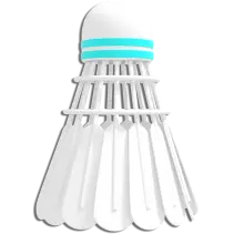 shuttlecock-image